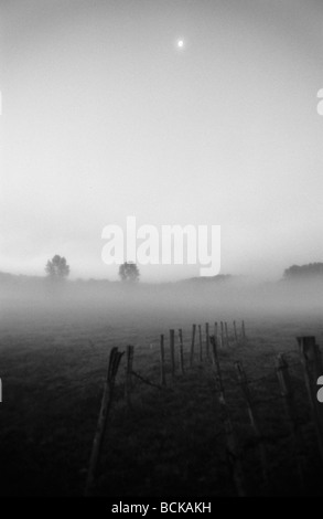 Nacht, Nebel auf Feld mit Zaun, b&w Stockfoto