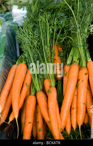 Bio-Karotten am Marktstand Stockfoto