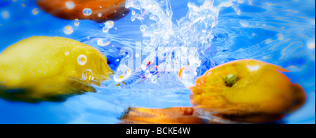 Orangen und Zitronen in Wasser Stockfoto