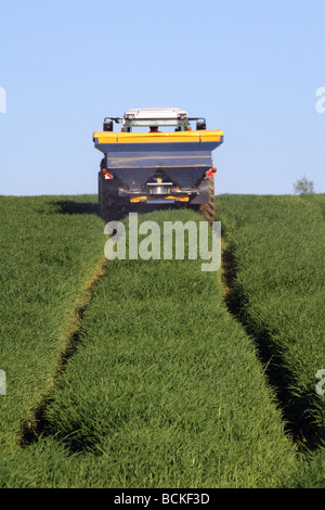 Landwirt Gülle über grün zu verbreiten Stockfoto