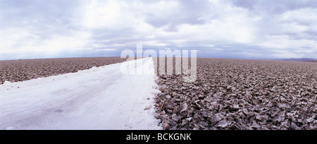 Chili, El Norte Grande, Salar de Atacama Stockfoto