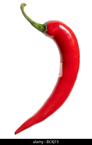 Rote Chili auf weißem Hintergrund Stockfoto