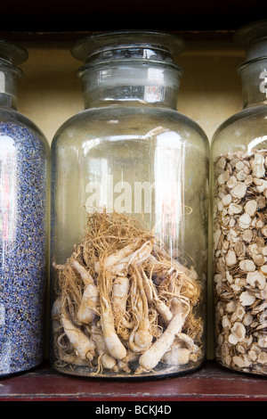 Ginseng-Wurzeln in einem Glas Stockfoto