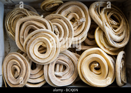 Getrocknete zusammengerollte Schlangen in den Märkten Stockfoto