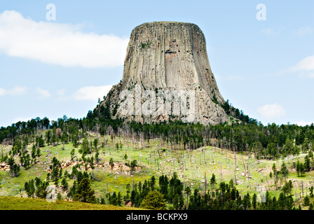 Ansicht des Devils Tower in Wyoming Stockfoto