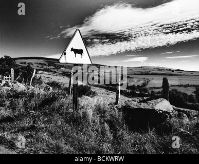 Kuh Kreuzung Zeichen in ländlichen Landschaft, b&w Stockfoto
