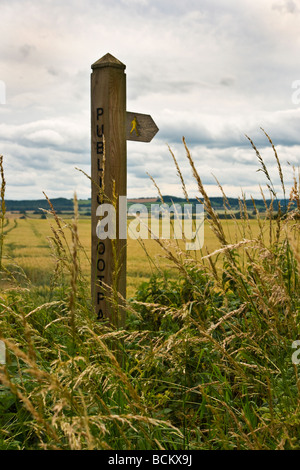 Wanderweg-Zeichen, viel überwuchert Stockfoto