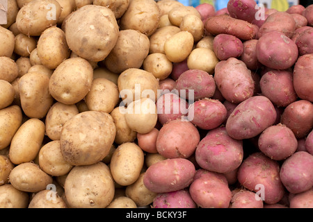 Natürlich verkauft angebautes Gemüse auf dem Markt junge Kartoffeln gelb und rot Stockfoto