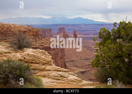 Insel im Himmel Abschnitt des Canyonlands National Park in Moab Utah von Mesa Arch Stockfoto