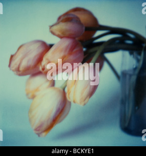 Tulpen in einer vase Stockfoto