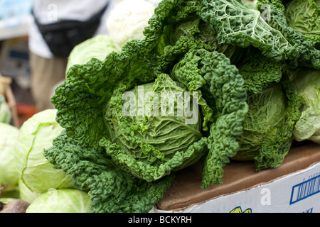 Natürlich verkauft angebautes Gemüse auf dem Markt Grünkohl Stockfoto
