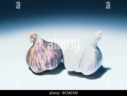 Knoblauch Stockfoto