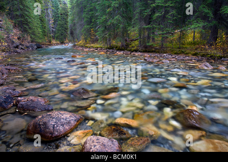 Johnston Canyon Creek Banff Nationalpark Alberta Kanada Oktober 2006 Stockfoto