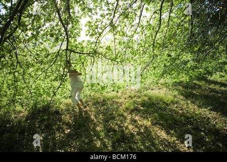 Mädchen auf der Suche durch Äste, Rückansicht, in voller Länge Stockfoto