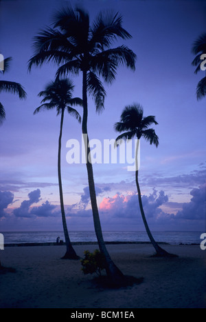 Sonnenuntergang mit Palmen am Strand von Bayahibe - Karibik - Dominikanische Republik-Insel - Provinz La Altagracia Stockfoto