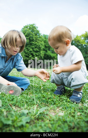 Mädchen mit Down-Syndrom Blumen pflücken mit Bruder im Freien, Nahaufnahme Stockfoto