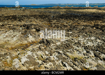 Granit-Strand der Bucht von Morlaix, Frankreich Stockfoto