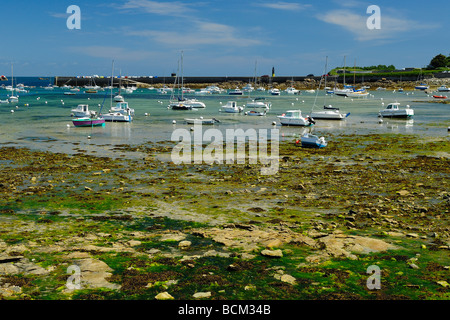 Hafen von Roscoff in der Bretagne bei Ebbe Stockfoto