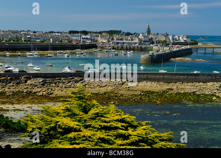 Hafen von Roscoff in der Bretagne bei Ebbe Stockfoto