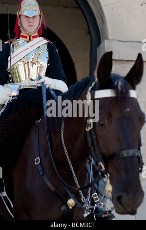 Eine berittene Trooper der Household Cavalry im Dienst am Horse Guards Stockfoto