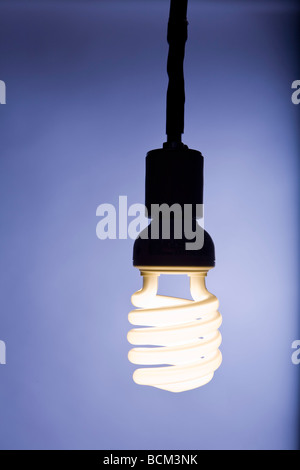 Energie effiziente kompakte Leuchtstoff Glühlampe Stockfoto