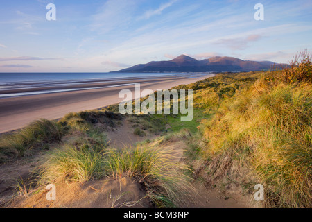 Am frühen Morgensonne leuchtet die Mourne Mountains und die Sanddünen von Murlough Bay im County Down Northern Ireland Stockfoto