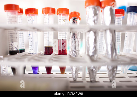Reagenzgläser für Labor Stockfoto