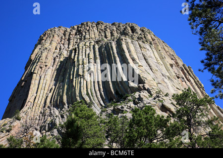 Devils Tower in Wyoming, mit massiven Säulen erodieren Rock. Stockfoto