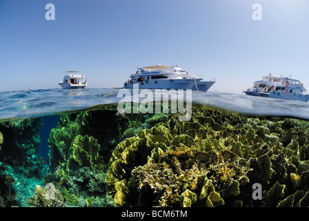 Tauchboote verankert auf einem Riff im Roten Meer, Ägypten Stockfoto