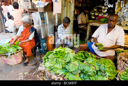 Gemüse Stall IN Devarja Markt Mysore Bundesstaat Karnataka Indien Stockfoto