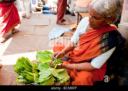 Alte indische Frau Verkauf von Gemüse In Devarja Markt Mysore Bundesstaat Karnataka Indien Stockfoto