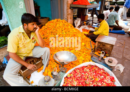 Blume-Stall In Devarja Markt Mysore Bundesstaat Karnataka Indien Stockfoto