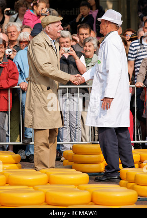 Preis Feilschen um Gouda-Käse bei Alkmaar Käsemarkt Alkmaar, Nordholland, Niederlande. Stockfoto