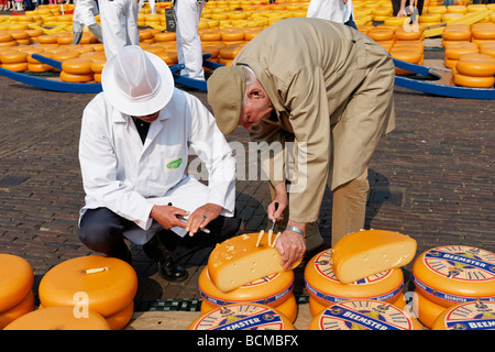 Käse-Händler bei der Alkmaar Käsemarkt Alkmaar, Nordholland, Niederlande. Stockfoto