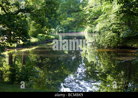 Park. Elagin Insel, St. Petersburg, Russland. Stockfoto