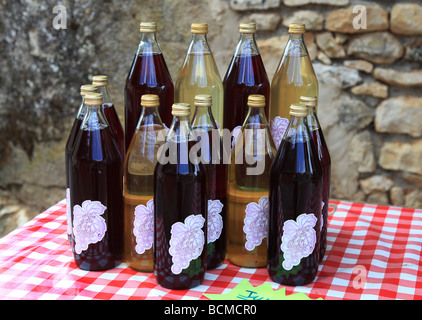 Hausgemachte rote und weiße französische Weine in Flaschen zu verkaufen Stockfoto