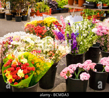 Eine Blume Stand auf die s-Bauernmarkt Donnerstag in der typisch englische Marktstadt von Devizes Wiltshire England UK Stockfoto