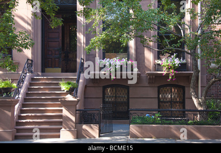 Brownstone Eingangsbereich, Blumenkästen, Brooklyn Heights, New York City, NY, USA Stockfoto