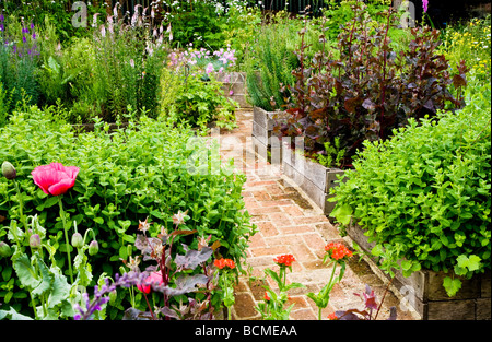 Eine Ecke von Physic Garden in den Zweigen Gärten in Swindon Wiltshire England UK Stockfoto