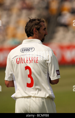 Australische schnelle Bowler Jason Gillespie spielen für Glamorgan in der Grafschaft-Meisterschaft Stockfoto