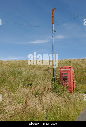 Verlassene und bewachsene rote Telefonbox in der Landschaft. Vertikales Bild. Stockfoto