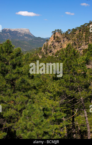 Cambrón Gipfel Sierra de Segura Albacete Spanien Stockfoto