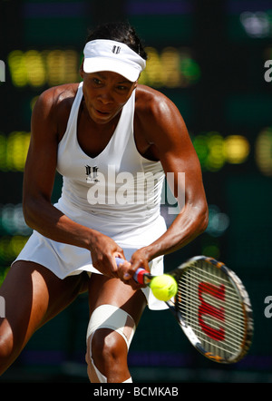 Wimbledon Championships 2009, Venus Williams USA in Aktion Stockfoto