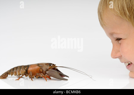 Stock Foto von einem 9-jährigen Jungen kommen von Angesicht zu Angesicht und nahe an einem Krebs Stockfoto