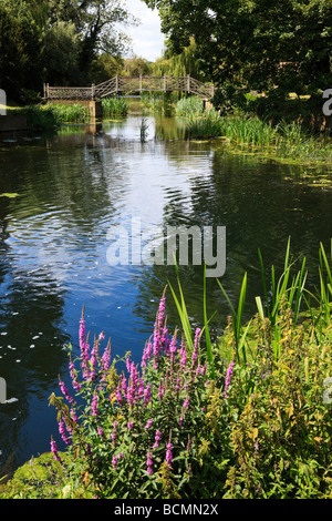 Fluss Great Ouse, Godmanchester Huntingdon Stockfoto