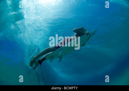 Surfer Ente unter Welle tauchen Stockfoto