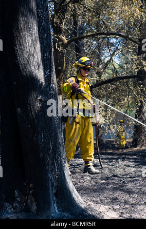 California Wildfire in Santa Cruz Mountains. CALFIRE/CDF Wildland Feuerwehrmann-Strike Team im Löschangriff Stockfoto