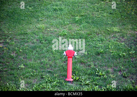 Hydranten über eine Wiese, Deutschland, Europa Stockfoto