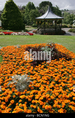 Stadt von Truro, England. Beete in voller Blüte in Truro Victoria Gardens mit dem viktorianischen Musikpavillon im Hintergrund. Stockfoto