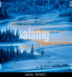 Hirte jagen Tiere neben Lake Kanas in einem kalten Wintermorgen, Uigurischen Autonomen Gebiet Xinjiang, China Stockfoto